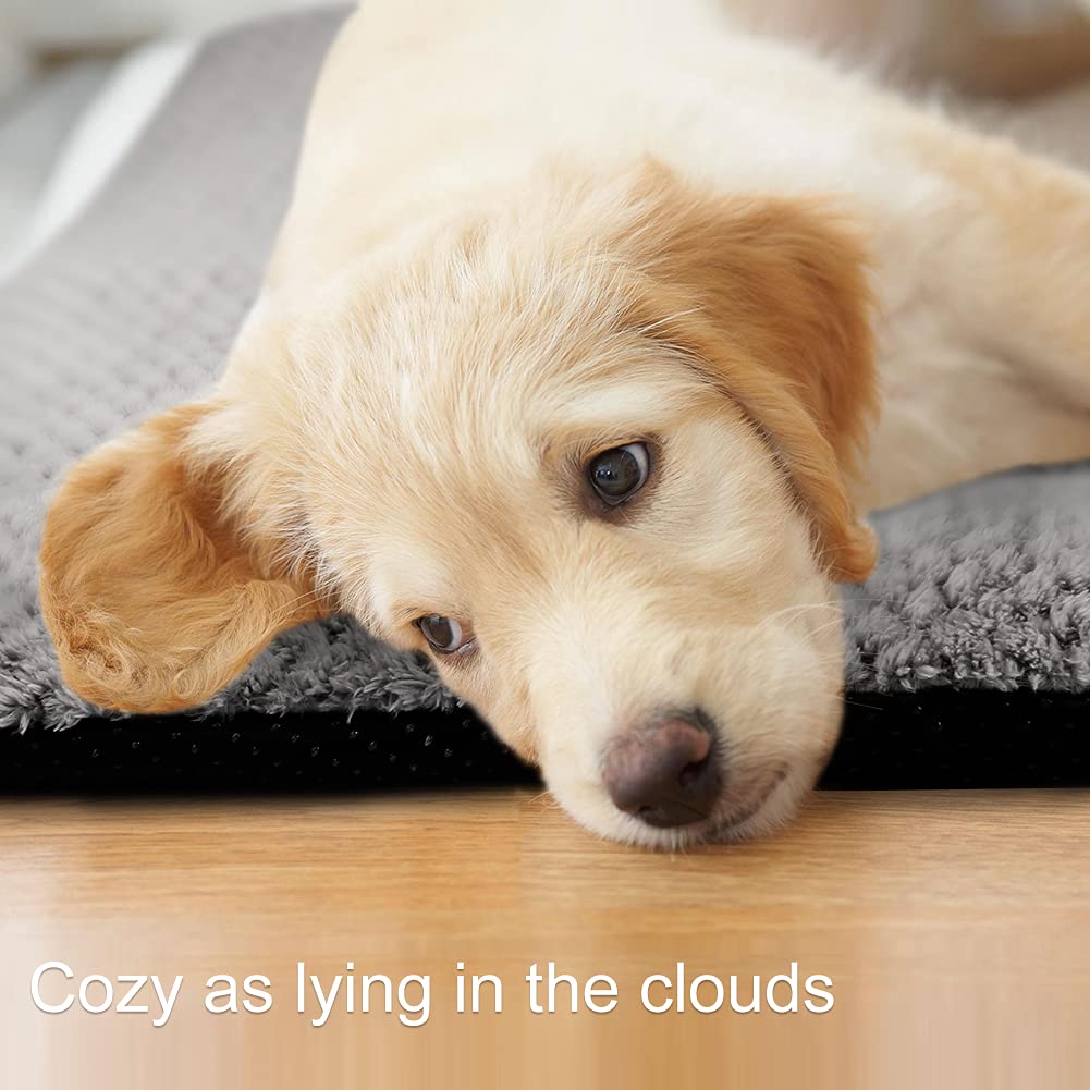 Nosterna Washable Dog Bed Mat - Fluffy Cushion for Medium Pets