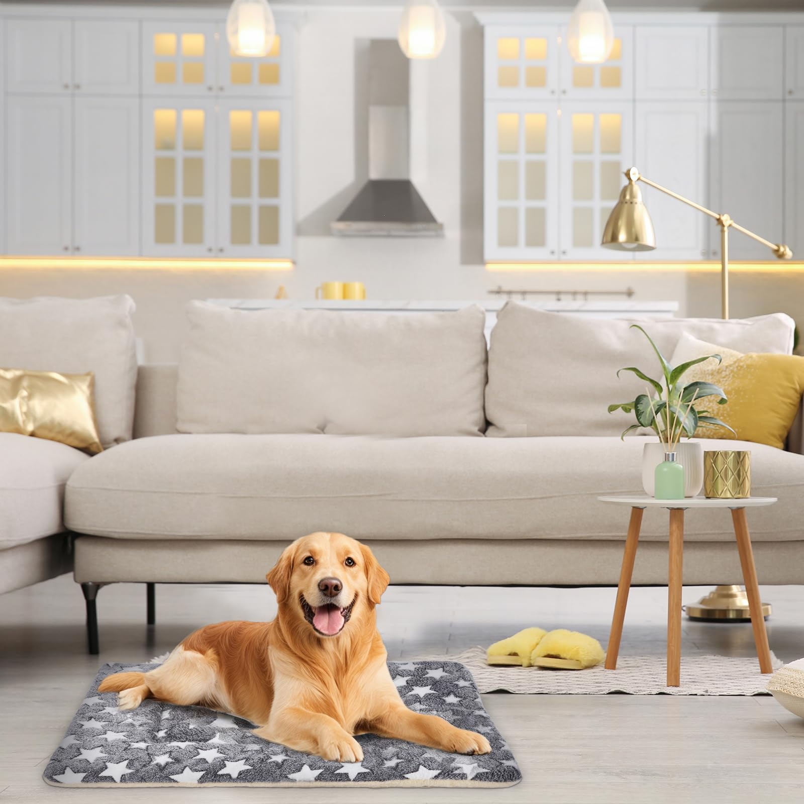 Nosterna Washable Dog Bed Mat - Soft Pet Mat for Dogs