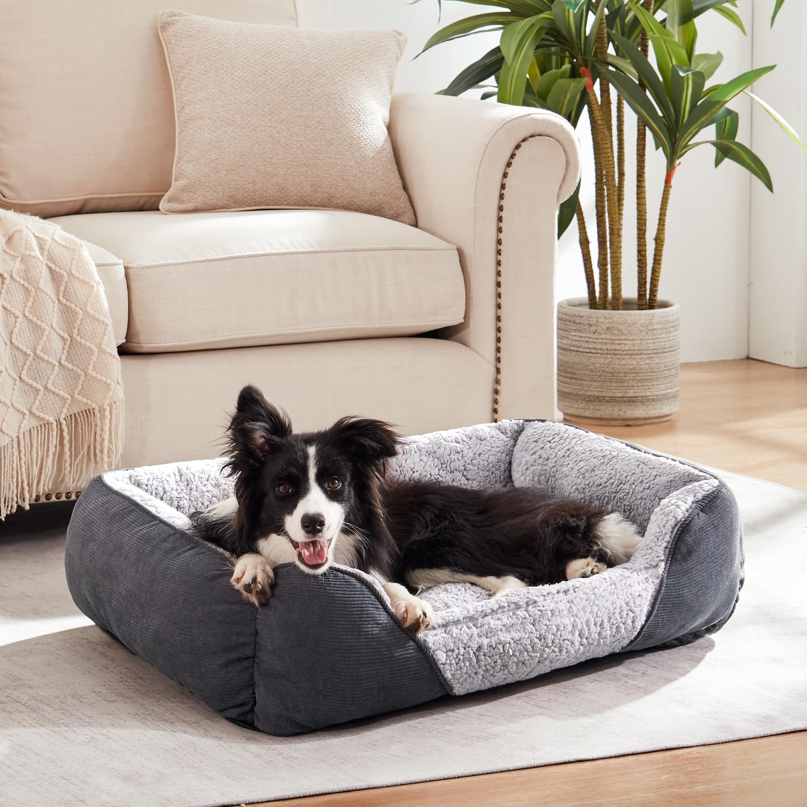 Nosterna Medium Dog Cat Bed, Warm Lamb Fleece, Washable, for Corgi, 63x53x21cm
