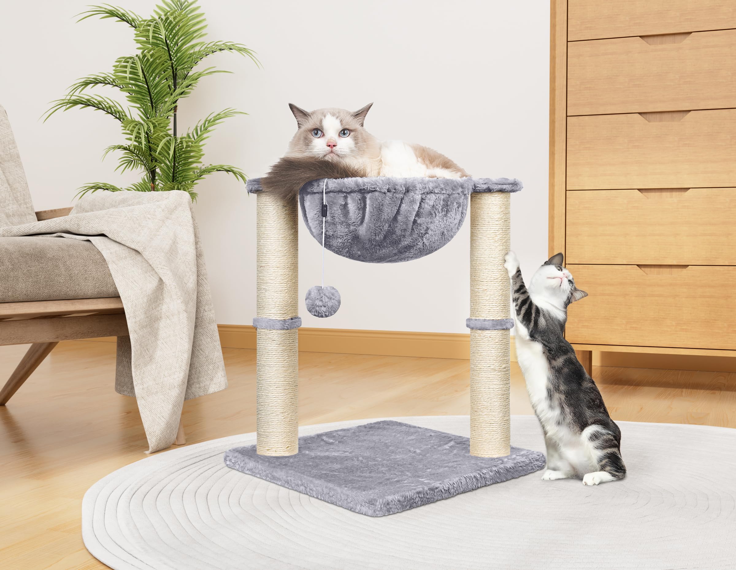 Cat Scratching Post, 50cm Cat Tree with Cat Hammock Bed, Scratching Posts for Indoor Cats with Hanging Ball Toy, Small Cat Tree for Kitten Pets Playing and Relaxing, Grey