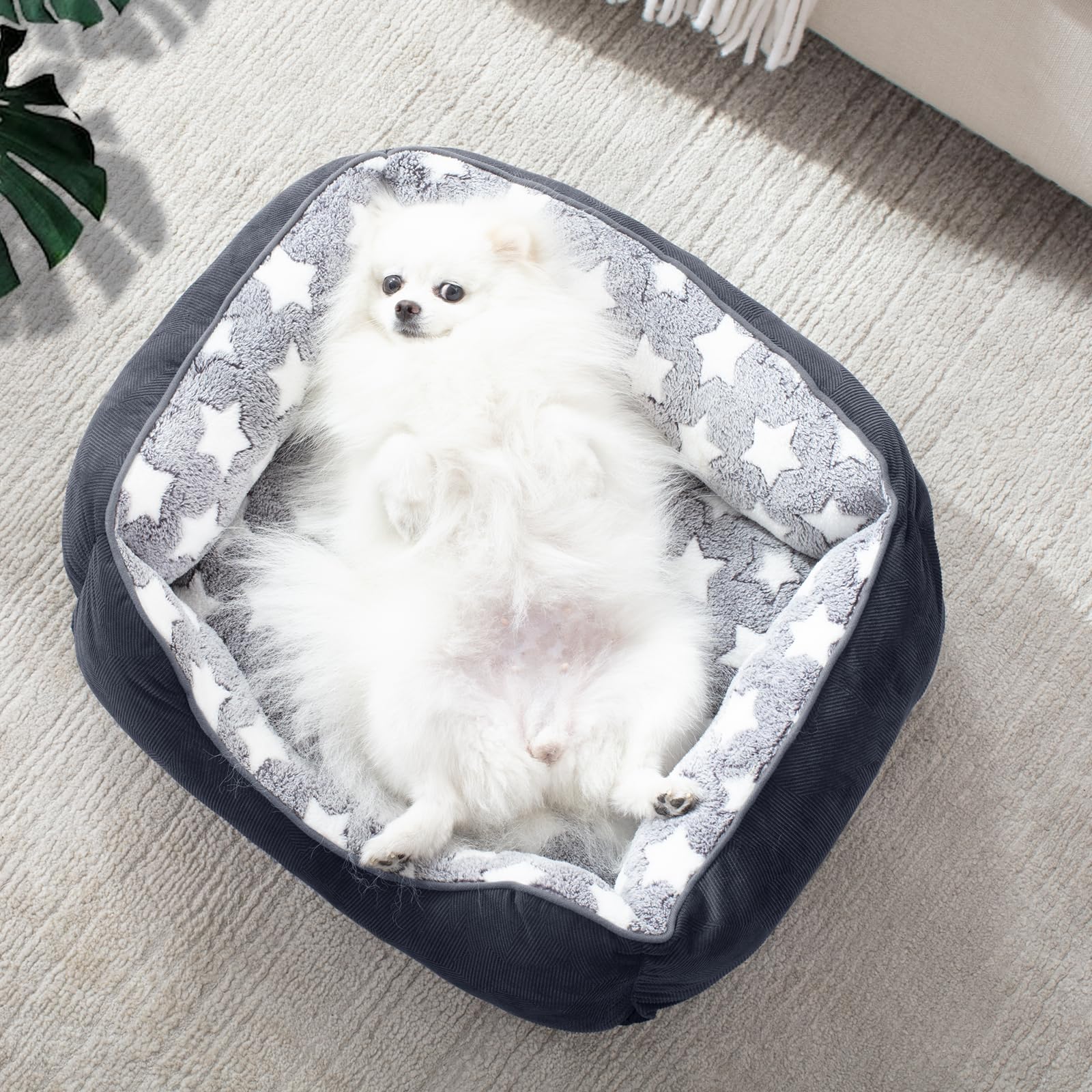 Nosterna Washable Medium Dog Bed - Soft Cosy Rectangle Bed for Small to Large Dogs